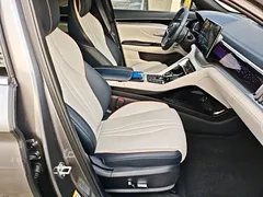 2021 BYD Song PLUS EV Flagship — фото 25