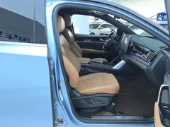 2023 BYD Tang DM-i PHEV Champion 112KM Premium, синий — фото 8