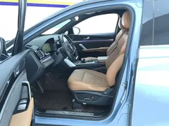 2023 BYD Tang DM-i PHEV Champion 112KM Premium, синий — фото 9