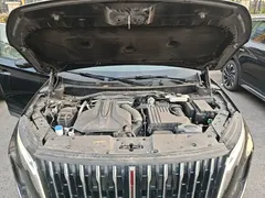 2024 Hongqi HS7 2.0T PHEV 4WD 7, чёрный — фото 20