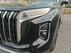 2024 Hongqi HS7 2.0T PHEV 4WD 7, чёрный — фото 24