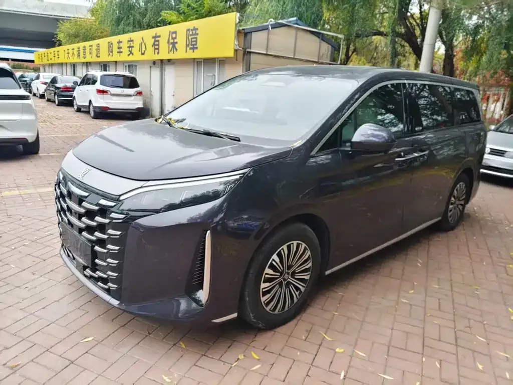 2025 BYD Xia PHEV DM-i 1.5T 100km Exceed