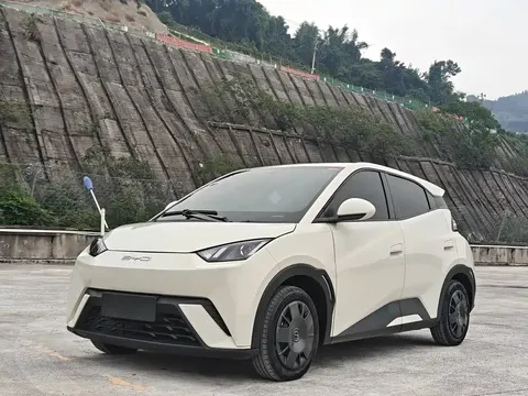 2023 BYD Seagull Vitality