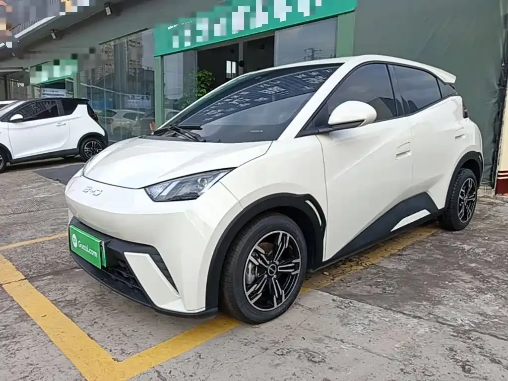 2024 BYD Seagull Honor 305km Vitality