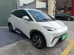 2024 BYD Seagull Honor 305km Vitality, белый — фото 4