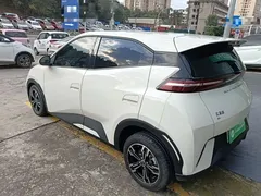 2024 BYD Seagull Honor 305km Vitality, белый — фото 5