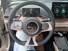 2024 BYD Seagull Honor 305km Vitality, белый — фото 11