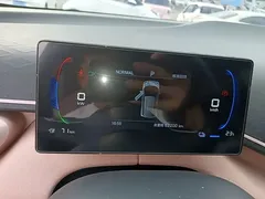 2024 BYD Seagull Honor 305km Vitality, белый — фото 12
