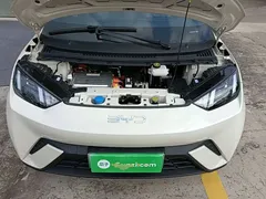 2024 BYD Seagull Honor 305km Vitality, белый — фото 20