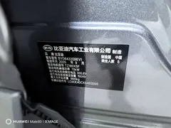 2025 BYD Yuan UP Smart Driving 401km Vitality — фото 11