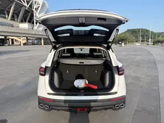2021 Geely Coolray 1.4T DCT Diamond, белый — фото 10