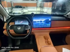 2024 Leapmotor C16 EV 520 Premium — фото 6
