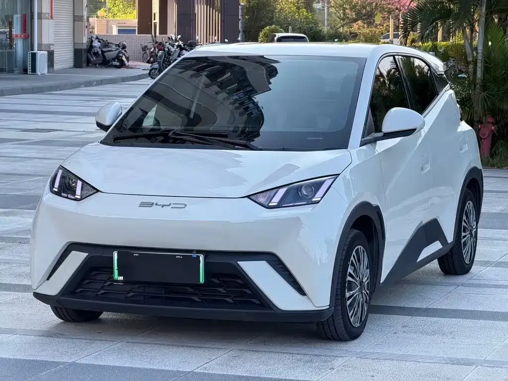 2023 BYD Seagull Vitality
