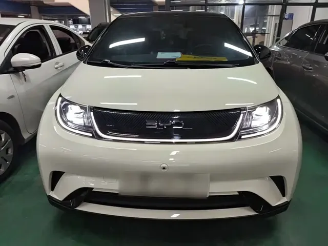2025 BYD Dolphin 420km Freedom