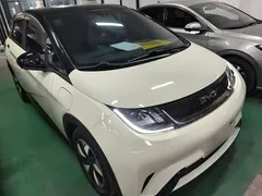 2025 BYD Dolphin 420km Freedom — фото 4