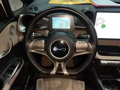 2025 BYD Dolphin 420km Freedom — фото 11