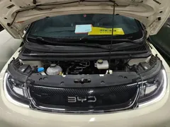 2025 BYD Dolphin 420km Freedom — фото 20