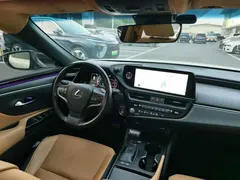 2022 Lexus ES 200 Excellence, белый — фото 10