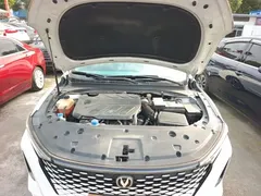2023 Changan Raeton PLUS 1.5T DCT, белый — фото 20