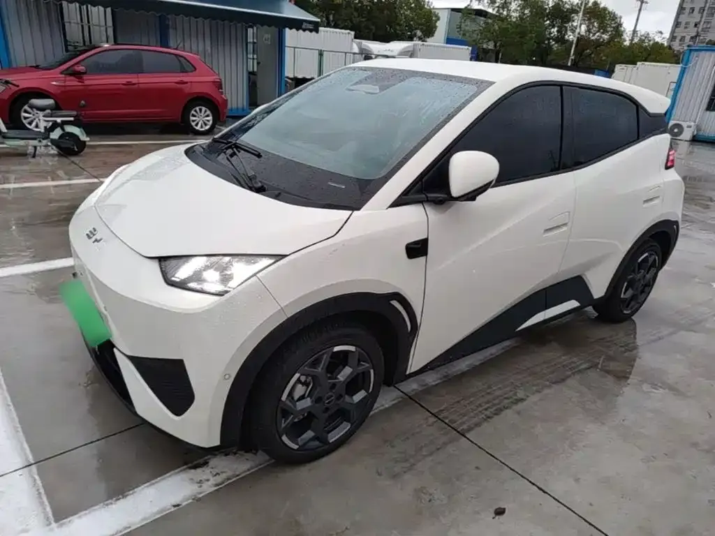 2025 BYD Seagull Smart Driving 305km Freedom