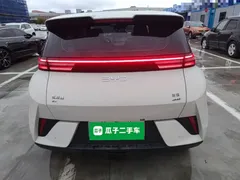 2025 BYD Seagull Smart Driving 305km Freedom, белый — фото 6