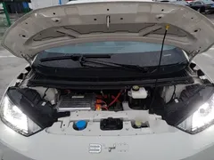 2025 BYD Seagull Smart Driving 305km Freedom, белый — фото 20