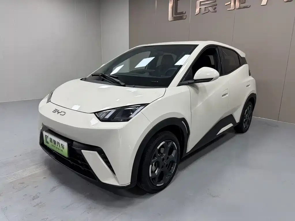 2025 BYD Seagull 305km Freedom