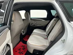 2023 BYD Song Pro Champion DM-i PHEV 71km, белый — фото 16
