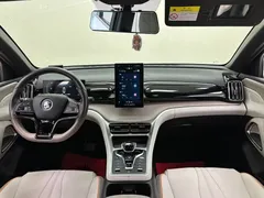 2023 BYD Song Pro Champion DM-i PHEV 71km, белый — фото 20