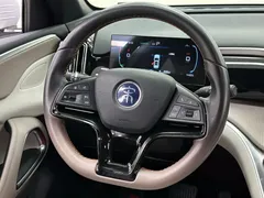 2023 BYD Song Pro Champion DM-i PHEV 71km, белый — фото 22