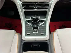 2023 BYD Song Pro Champion DM-i PHEV 71km, белый — фото 25