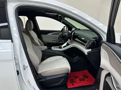 2023 BYD Song Pro Champion DM-i PHEV 71km, белый — фото 27