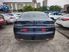 2024 BYD Destroyer 05 DM-i PHEV 55km Luxury, синий — фото 6