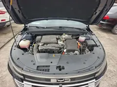 2024 BYD Destroyer 05 DM-i PHEV 55km Luxury, синий — фото 20