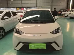 2024 BYD Seagull EV 305km Honor Freedom, белый — фото 3