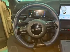 2024 BYD Seagull EV 305km Honor Freedom, белый — фото 11