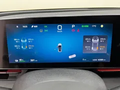 2025 BYD Seal 650 Smart Driving — фото 25