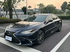 2021 Lexus ES 300h Hybrid Premium, синий — фото 11