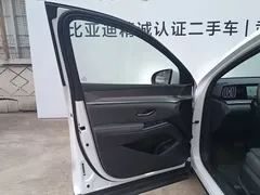 2025 BYD Song Pro 2nd Gen DM-i PHEV 115KM Smart Driving Excellence, белый — фото 10