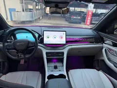 2023 BYD Song PLUS Champion EV 520km Premium — фото 6