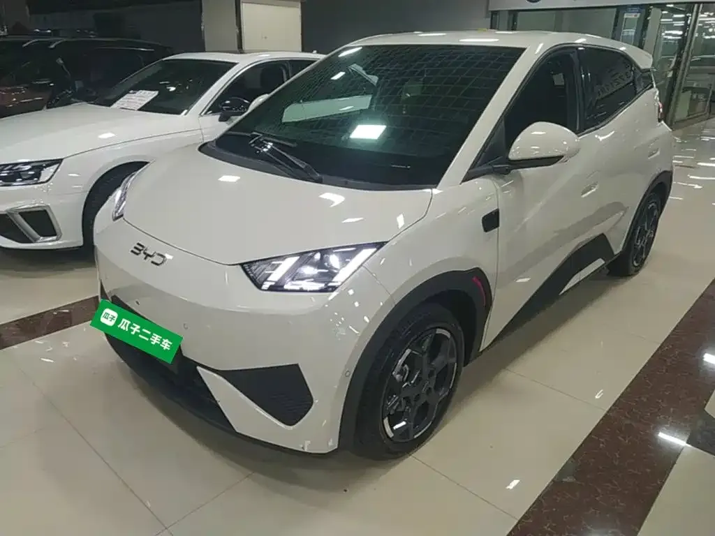 2025 BYD Seagull Smart Driving 305km Freedom