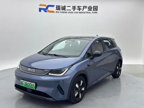 2025 BYD Dolphin Smart Driving 410km Fashion