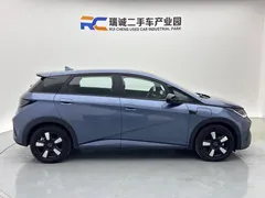 2025 BYD Dolphin Smart Driving 410km Fashion, синий — фото 4