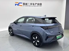 2025 BYD Dolphin Smart Driving 410km Fashion, синий — фото 7
