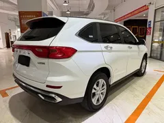 2023 Haval M6 Plus 1.5T MT Elite, белый — фото 4