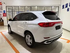 2023 Haval M6 Plus 1.5T MT Elite, белый — фото 6