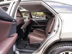 2020 Lexus RX 450hL 4WD Elegant 7-seat — фото 10