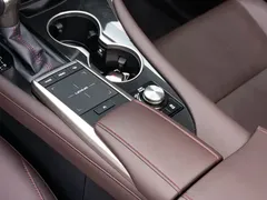 2020 Lexus RX 450hL 4WD Elegant 7-seat — фото 19