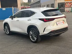 2022 Lexus NX 400h+ PHEV, белый — фото 12