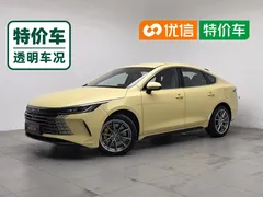 2024 BYD Destroyer 05 DM-i PHEV 120KM Luxury — фото 1
